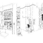 consonni y el feminismo