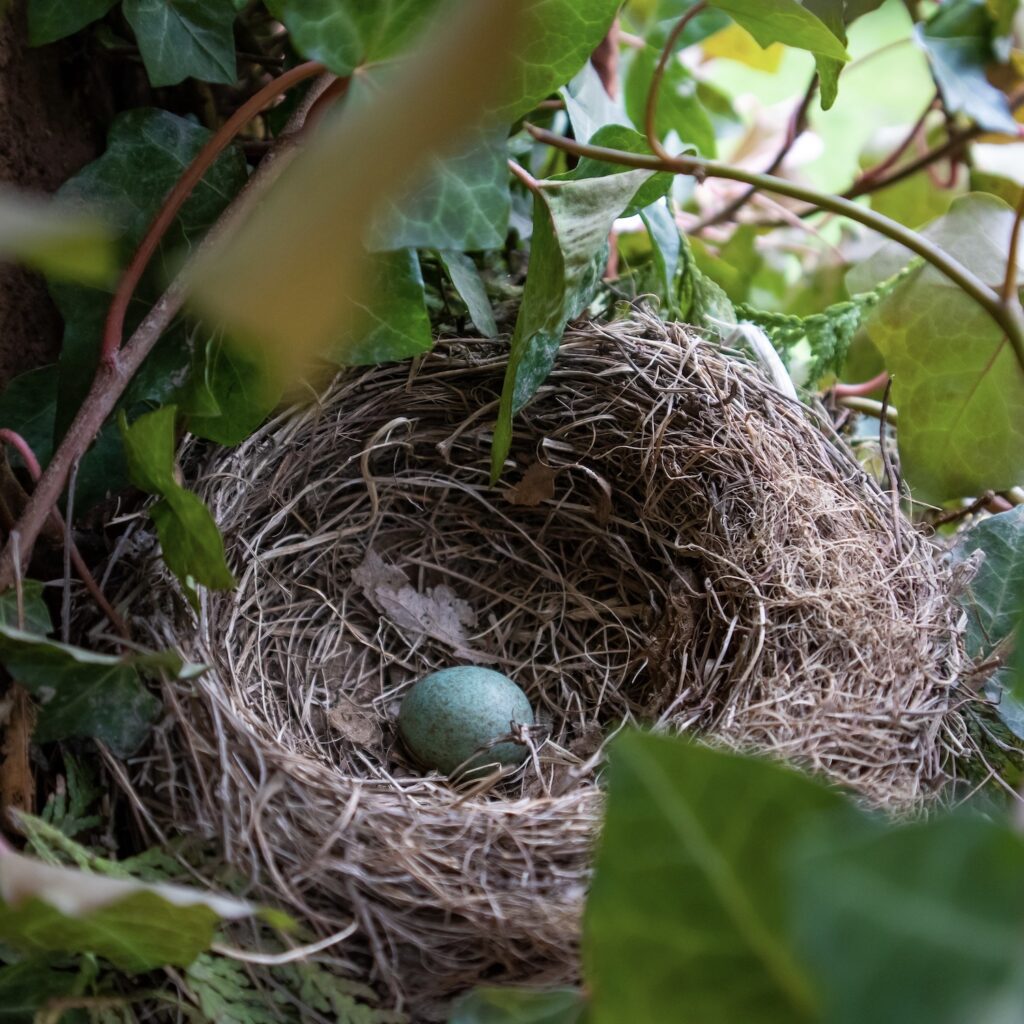GUADALUPE NETTEL Y UN COMPENDIO ÚNICO DE MATERNIDADES