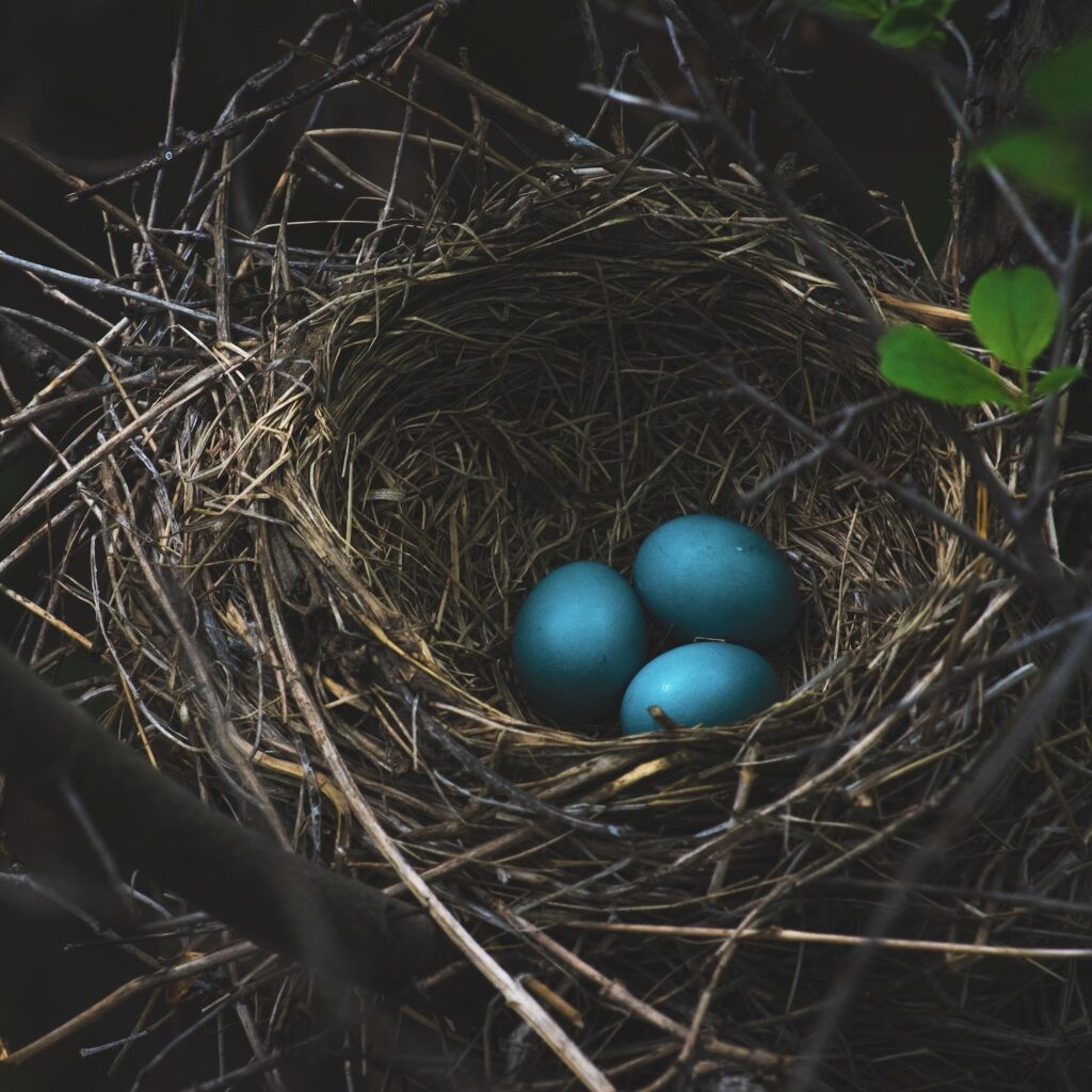 GUADALUPE NETTEL Y UN COMPENDIO ÚNICO DE MATERNIDADES