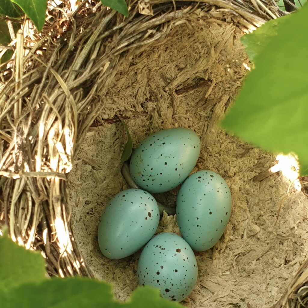 GUADALUPE NETTEL Y UN COMPENDIO ÚNICO DE MATERNIDADES