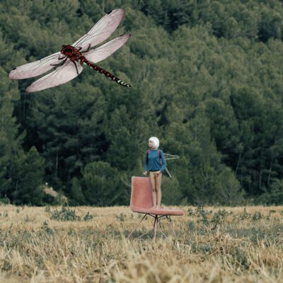 libelula claire davies